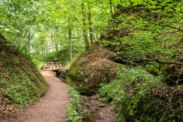 Trilha Caminhadas Riacho Drachenschlucht Dragon Gorge Perto Eisenach Turíngia — Fotografia de Stock