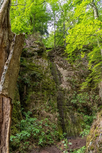 Krajina Mechem Pokryté Skály Stromy Drachenschluchtu Dračí Soutěska Eisenachu — Stock fotografie