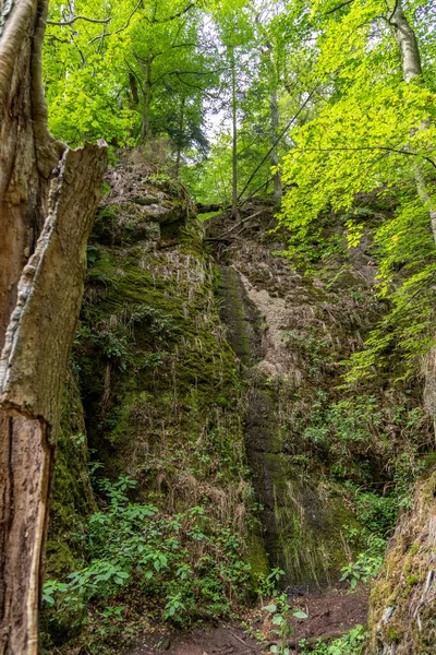 Tájkép Mohával Borított Sziklák Fák Drachenschlucht Sárkány Szurdok Közelében Eisenach — Stock Fotó