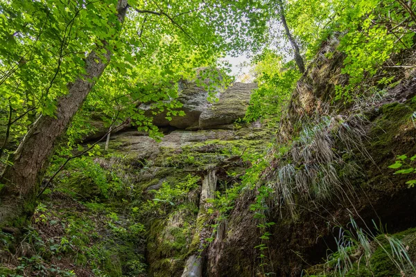 Krajina Vysokými Stromy Mechem Pokryté Skály Drachenschluchtu Dračí Soutěska Eisenachu — Stock fotografie