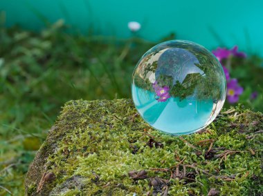 Küre, kristal küre, mor çuha çiçekli mercek küre yosun kaplı taş ve cyan arkaplan