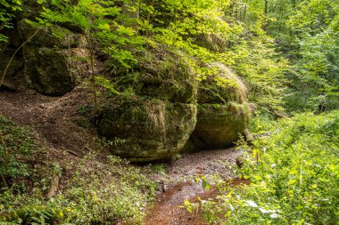 Drachenschlucht 'taki kayaları, Eisenach, Thüringen yakınlarındaki Ejderha Geçidi' ndeki akarsu ve yosunlar kapladı.