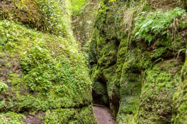 Drachenschlucht 'da yosun kaplı kayalar arasında dar yürüyüş yolu, Eisenach yakınlarında Ejderha Geçidi.