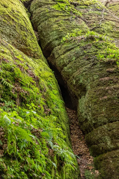 Úzká Turistická Stezka Stezka Mezi Mechem Porostlými Skalami Drachenschluchtu Dračí — Stock fotografie