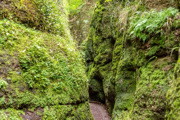 Narrow Hiking Trail Footpath Moss Covered Rocks Drachenschlucht Dragon Gorge — Stock Photo, Image