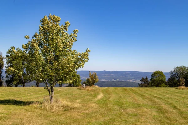 Vista Panorâmica Paisagem Topo Montanha Dolmar Turíngia — Fotografia de Stock