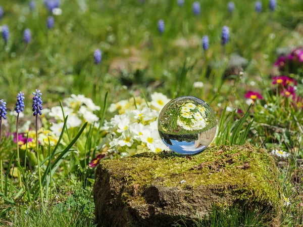 Esfera Bola Cristal Bola Lente Sobre Piedra Cubierta Musgo Prado — Foto de Stock