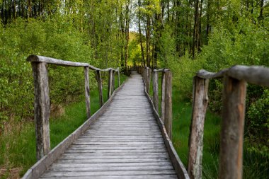 Eifel bölgesindeki Raffelsbrand bölgesindeki Todtenbruch Mağribi 'nde tahta kaldırımlarda yürüyüş izleri var..