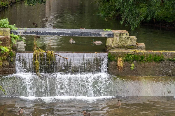 Wehr Mit Wasserfall Der Gera Erfurt Thüringen Stockbild