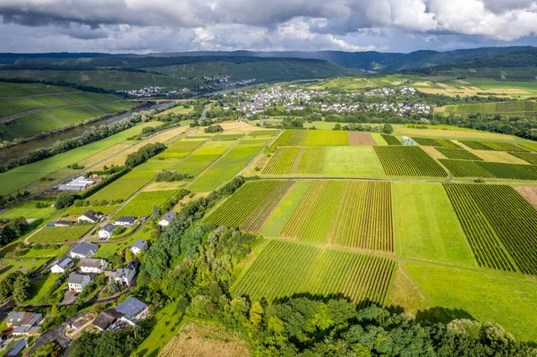 Widok Powietrza Krajobraz Nadrenii Palatynatu Niemcy Nad Rzeką Moselle Miejscowością Obraz Stockowy