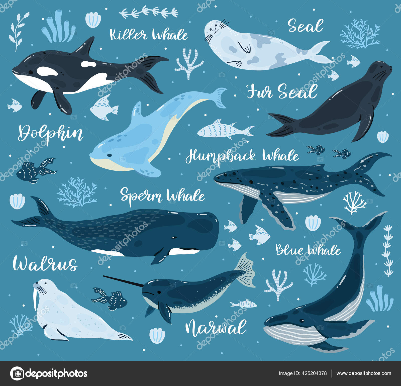 Cena extremamente rara foi filmada, image size:1600x1540