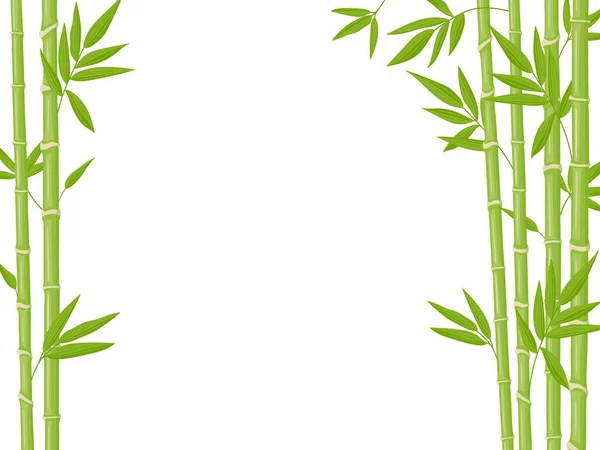 Bamboo background. Asian fresh green bamboo stalks, natural bamboo plant backdrop, stick plants with foliage vector illustration — Archivo Imágenes Vectoriales