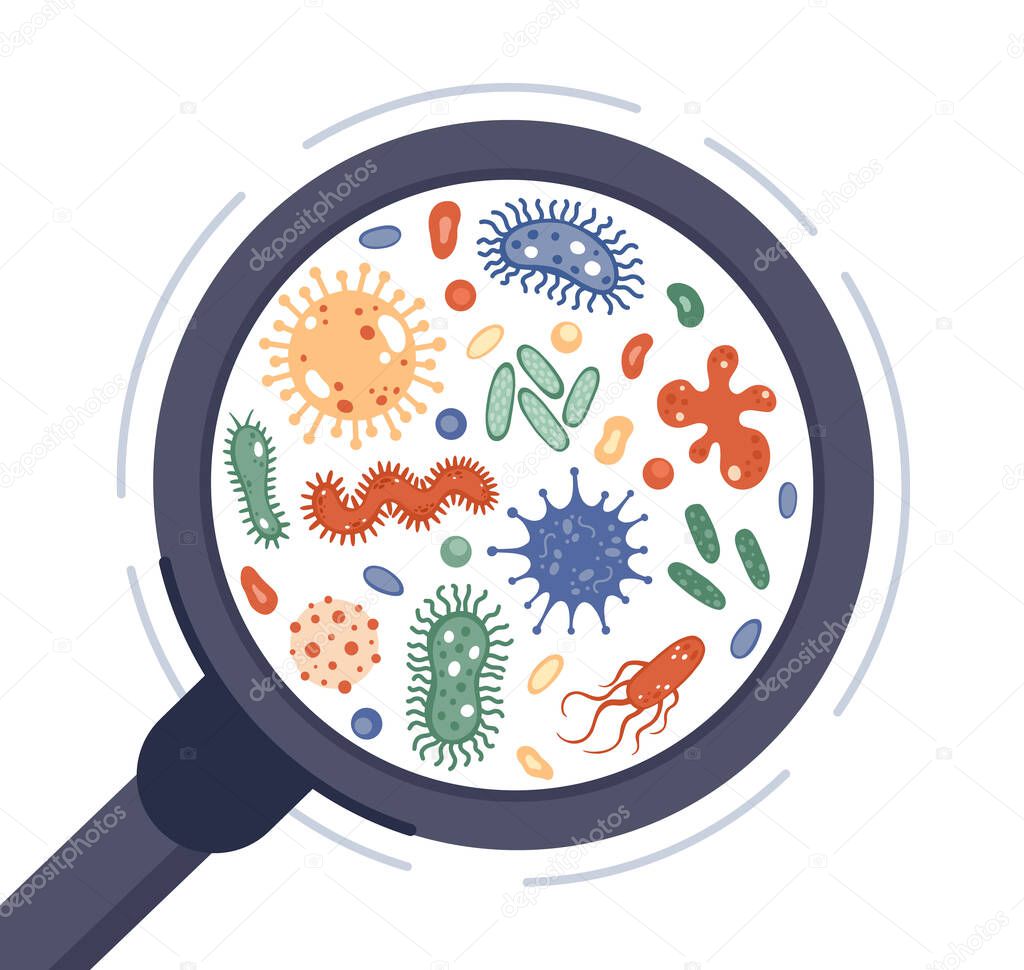Bacteria in magnifying glass. Viruses, infection germ and disease bacteria under rejuvenating glass. Microorganisms circle vector illustration