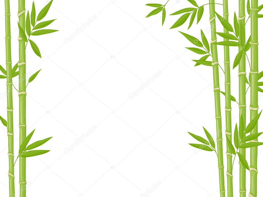 Bamboo background. Asian fresh green bamboo stalks, natural bamboo plant backdrop, stick plants with foliage vector illustration