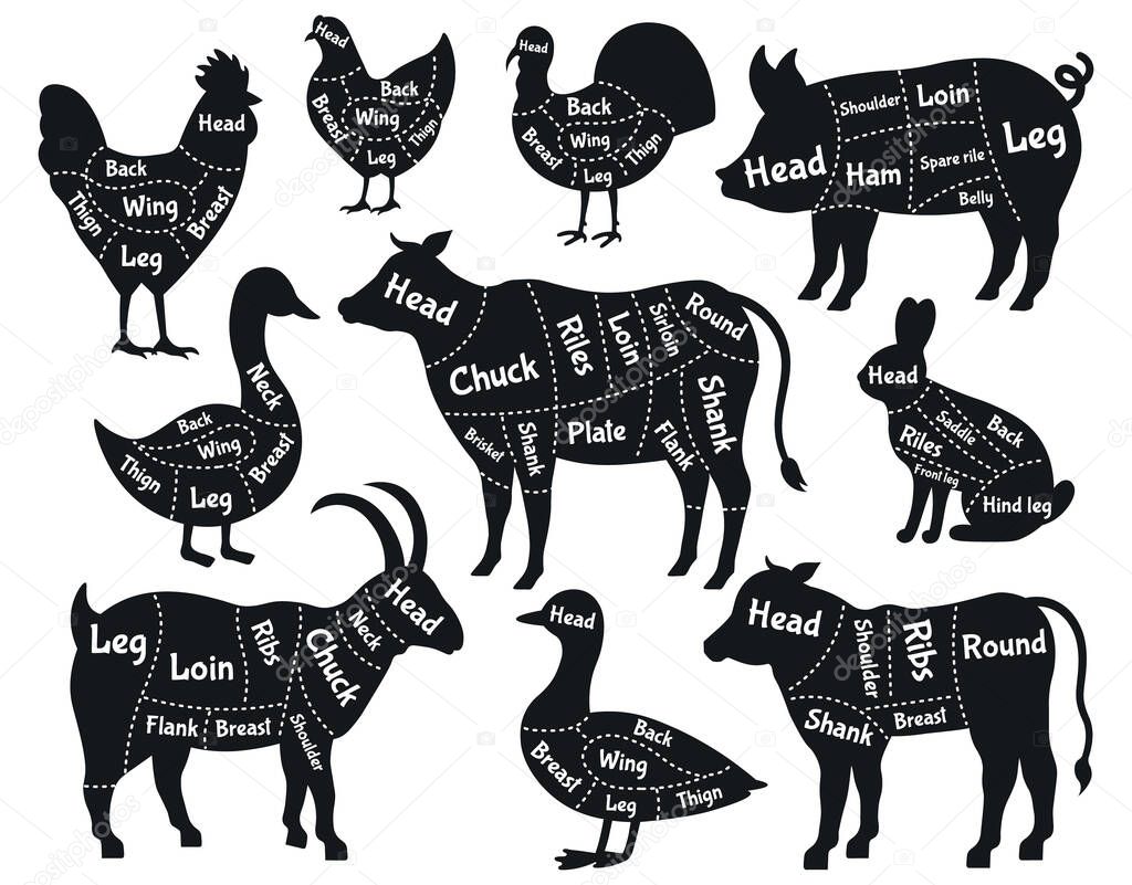 Butcher shop scheme. Meat cuts, pork, chicken, beef and rabbit butcher shop silhouette. Vintage butcher shop schemes vector illustration set