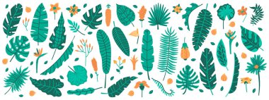 Tropik orman yaprakları. Egzotik bitkiler, yapraklar ve çiçekler, muz, palmiye, tesisat ve ambar yaprakları. Orman çiçekli vektör illüstrasyon kümesi