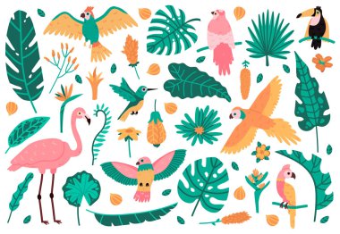 Egzotik yapraklar ve kuşlar. Tropik yapraklar, çiçekler ve fauna kuşları, papağan, pembe flamingo ve tukan. Orman egzotik elementler vektör çizimleri