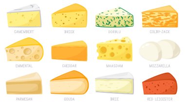 Çizgi film peynir tipleri. Peynir üçgeni, çedar peyniri, peynir, mozzarella, parmesan, camembert ve tuğla. Lezzetli peynir vektör çizimi
