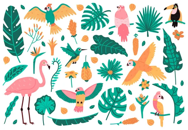 Exotiska blad och fåglar. Tropiska blad, blommor och faunafåglar, papegoja, rosa flamingo och tukan. Jungle exotiska element vektor illustrationer — Stock vektor