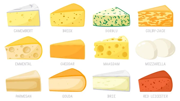 Tipos de queijo dos desenhos animados. Triângulos de queijo, cheddar, brie, mozzarella, parmesão, camembert e tijolo. Conjunto de ilustrações de vetor de queijo saboroso — Vetor de Stock