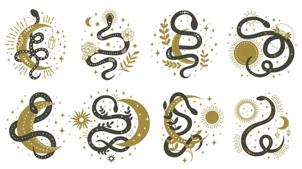 Titokzatos kígyók. Virágos boho és asztrológia minimalista elemek tekergő kígyó vektor illusztráció készlet. Mágikus spirituális kígyó szimbólumok — Stock Vector