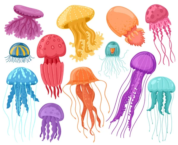 Medusas de dibujos animados océano. Medusas marinas submarinas, mar océano criaturas transparentes vector conjunto de ilustración aislada. Lindos animales medusas — Archivo Imágenes Vectoriales