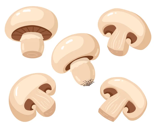 Champignon de dibujos animados. Comestibles sabrosas rodajas de champiñones maduros, deliciosos champiñones crudos conjunto de ilustración vectorial. Champiñón fresco — Vector de stock