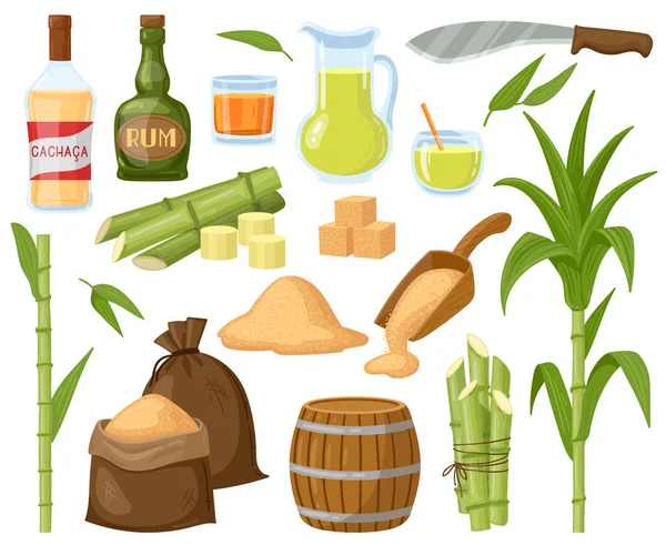 Cartoon suikerriet. Suikerriet blad planten, suikerklontjes, kristalsuiker en rum alcoholische vloeibare vector illustratie set. Natuurlijke suikerriet producten — Stockvector