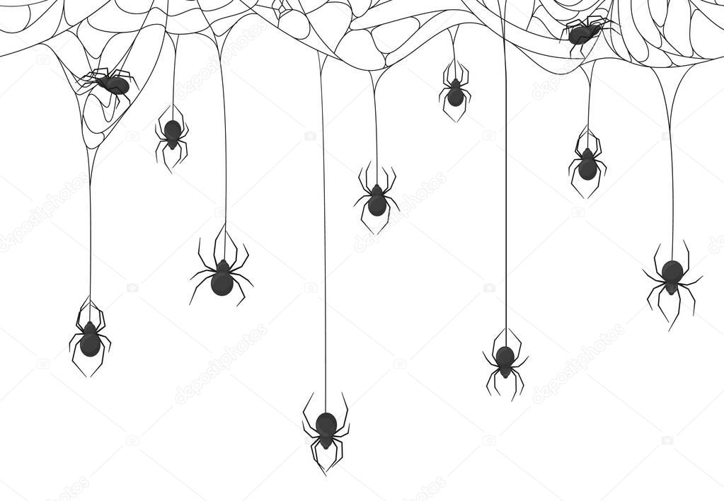 Halloween spiders background. Black spiders on spooky halloween hanging cobweb vector background illustration. Spooky halloween spider web backdrop