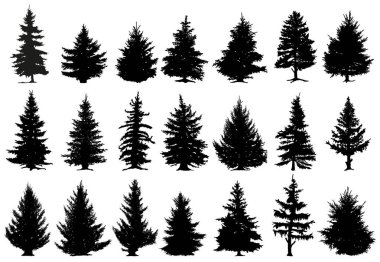 Christmas pine trees silhouettes. Coniferous forest monochrome woods, vintage fir trees silhouettes vector isolated icons set. Spruce forest trees silhouettes