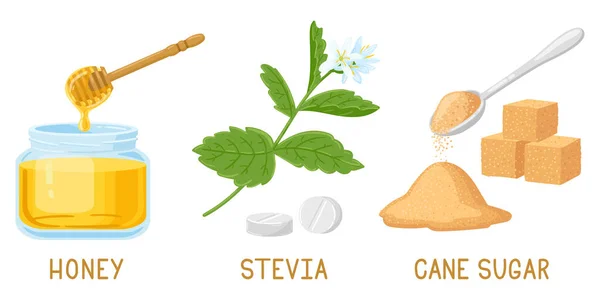 Cartoon natural sweeteners. Honey, stevia pills and plants, brown cane sugar cubes isolated vector illustration set. Natural organic sweeteners — Vetor de Stock