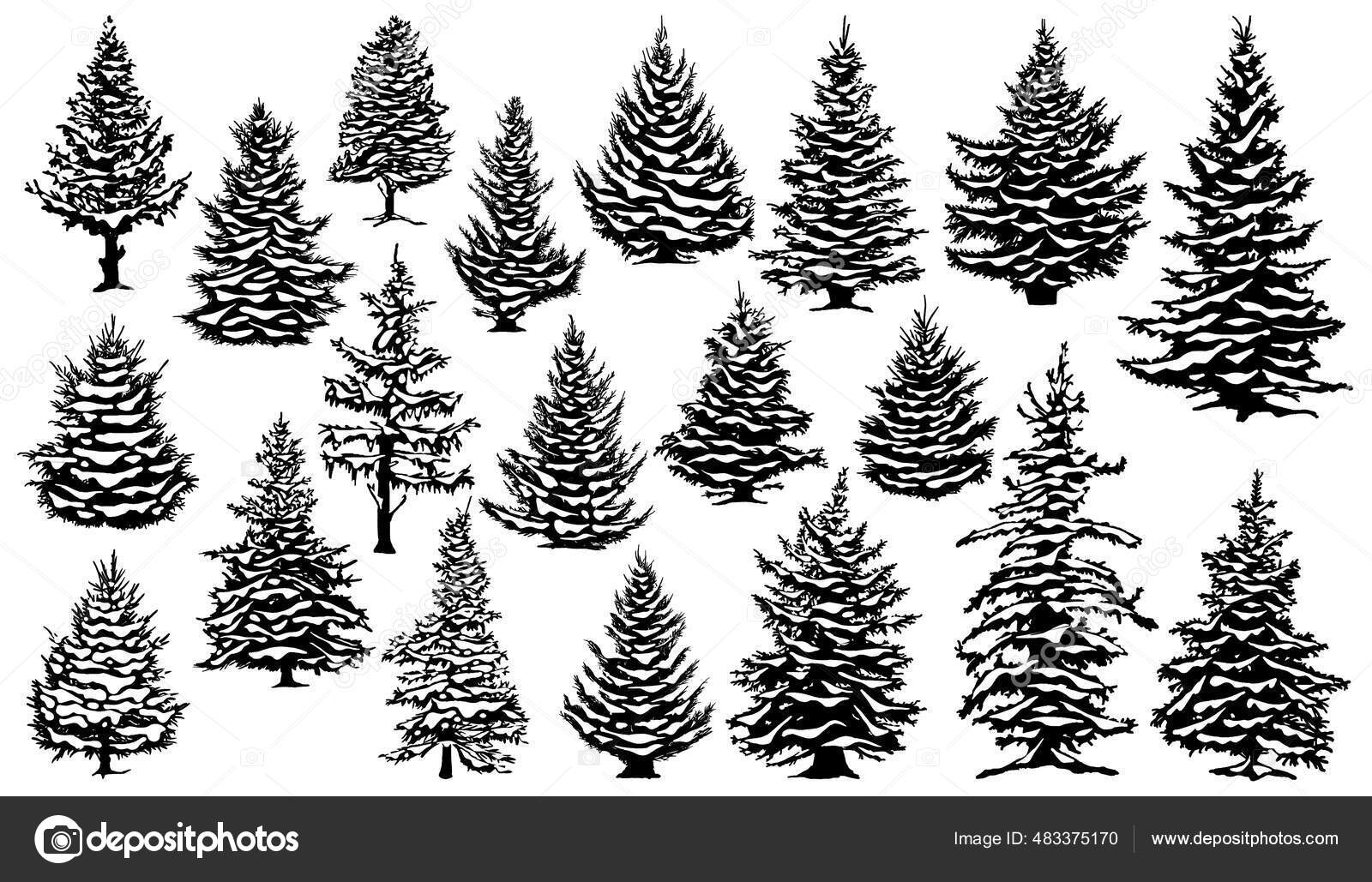 圣诞白雪公主的松树圣诞节积雪覆盖松树轮廓,常绿针叶林矢量图集.圣诞树的轮廓图库矢量图©winwin.artlab@gmail.com 483375170, image size:1600x1029