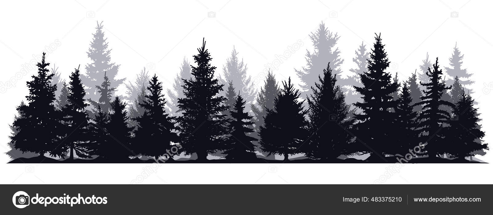 松树的轮廓。常绿针叶林轮廓,自然云杉林园景观矢量图解.针叶林轮廓图库矢量图©winwin.artlab@gmail.com 483375210, image size:1600x700