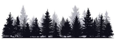 Çam ağaçları siluetleri. Evergreen kozalaklı orman silueti, doğa ladin ağacı park manzaralı vektör çizimi. Kozalaklı orman silueti
