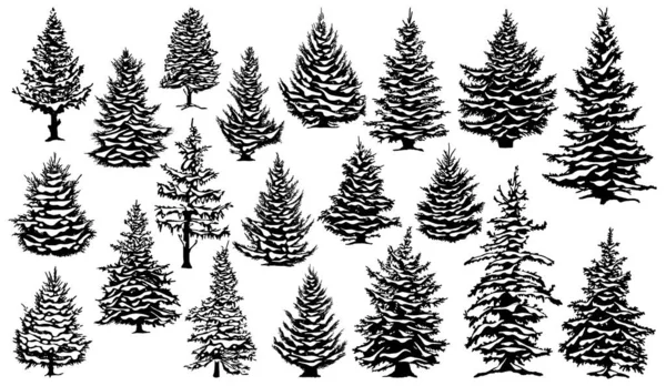 Christmas snowy pine trees. Xmas snow covered pine trees silhouettes, evergreen coniferous woods vector illustration set. Christmas trees silhouettes — Stock Vector