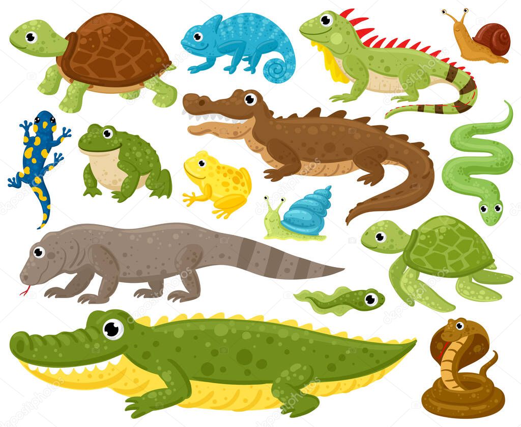 Cartoon amphibians and reptiles. Serpent, reptile and amphibians, frog, turtle, iguana and python vector illustration set. Wildlife reptiles and amphibians