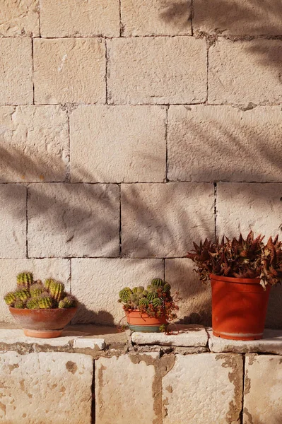 Tencerede güzel çiçekler.