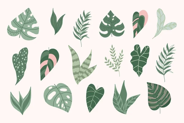 Moderne Seilblätter Botanische Elemente Jungle Leaves — Stockvektor