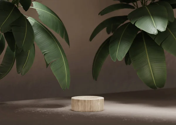 3D背景 木制讲台展示 自然木基座与热带香蕉棕榈叶和阴影 化妆品 化妆品促销站在植物一边 Studio 3D渲染说明 — 图库照片