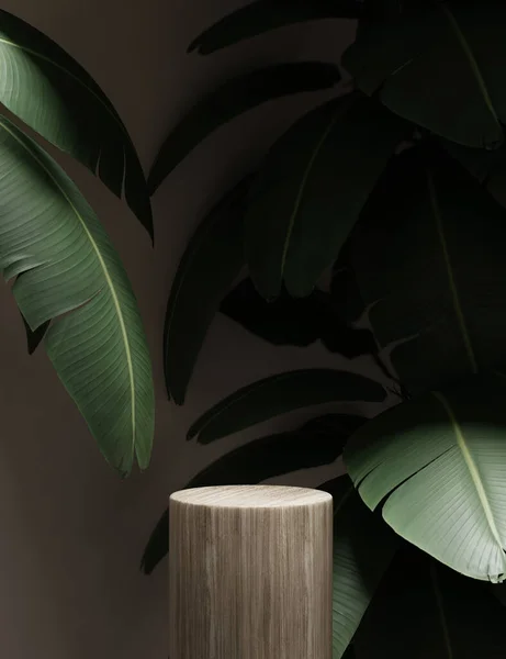 3D背景 木制讲台展示 自然木基座与热带香蕉棕榈叶和阴影 化妆品 化妆品促销站在植物一边 Studio 3D渲染说明 — 图库照片