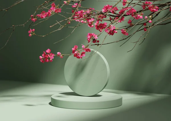 Hintergrund Podium Grünen Kreis Runde Anzeige Sakura Rosa Blütenzweigschatten Kosmetik — Stockfoto