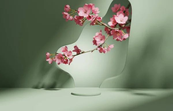 Háttér Zöld Pódium Kerek Kijelző Sakura Rózsaszín Virág Árnyék Kozmetikai — Stock Fotó