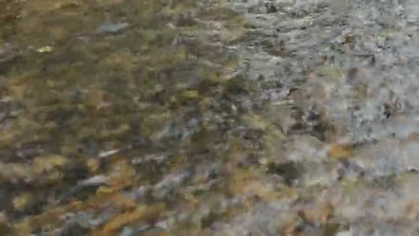 Déplacement du débit de la rivière de la partie supérieure droite vers la partie inférieure gauche 