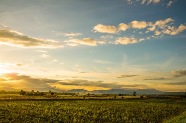 Landscape view of the the field in the north of Thailand