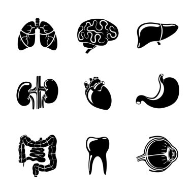 Internal human organs icons set