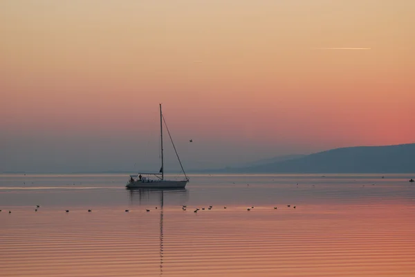 Balatonsjön i solnedgången med segelbåt — Stockfoto