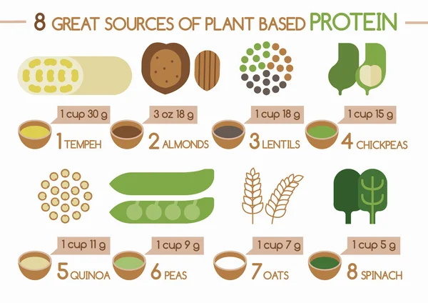 8 fuentes de proteína a base de plantas Illustrator — Vector de stock