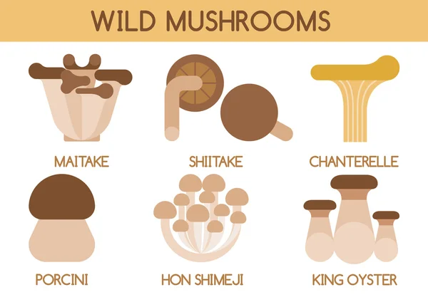 Wild mushrooms vector — Stock Vector