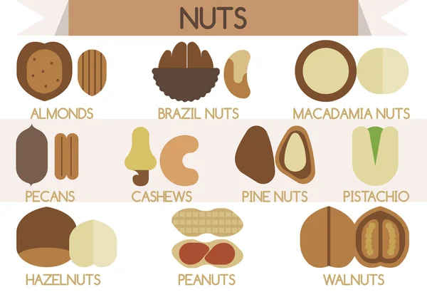 Nuts vector Illustrator — Stock Vector