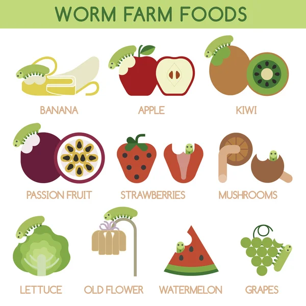 Worm farm foods vector — Stock Vector
